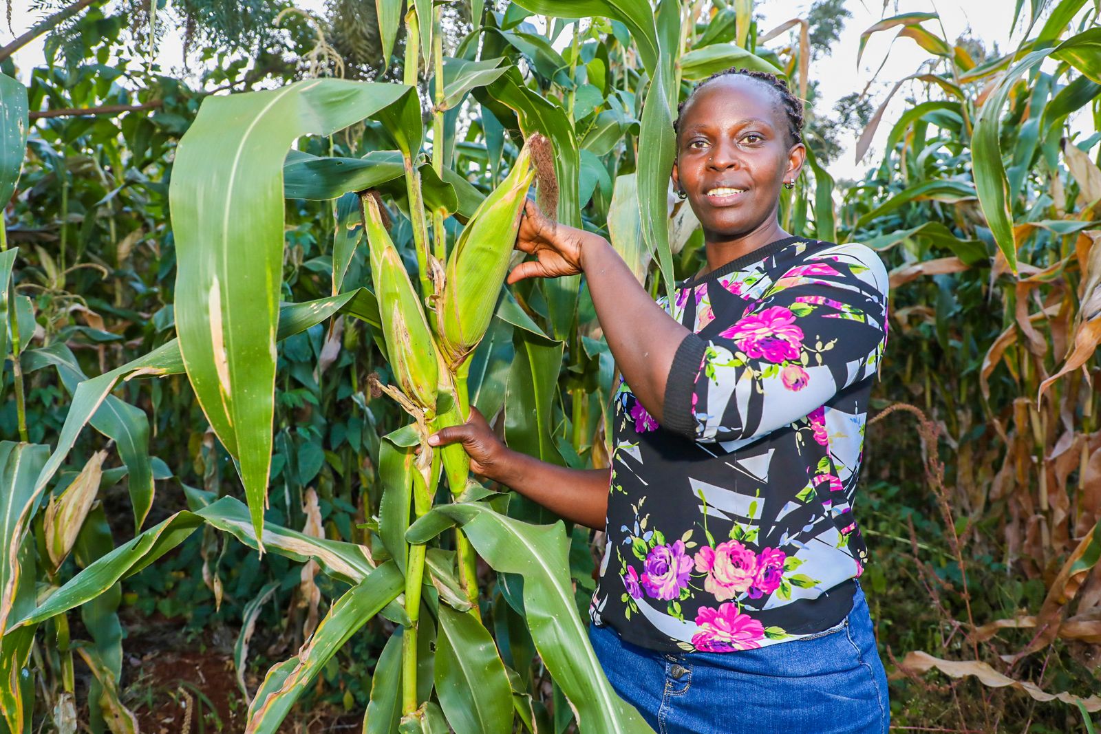 Farmers enjoy bumper harvest after receiving seeds, fertilizer