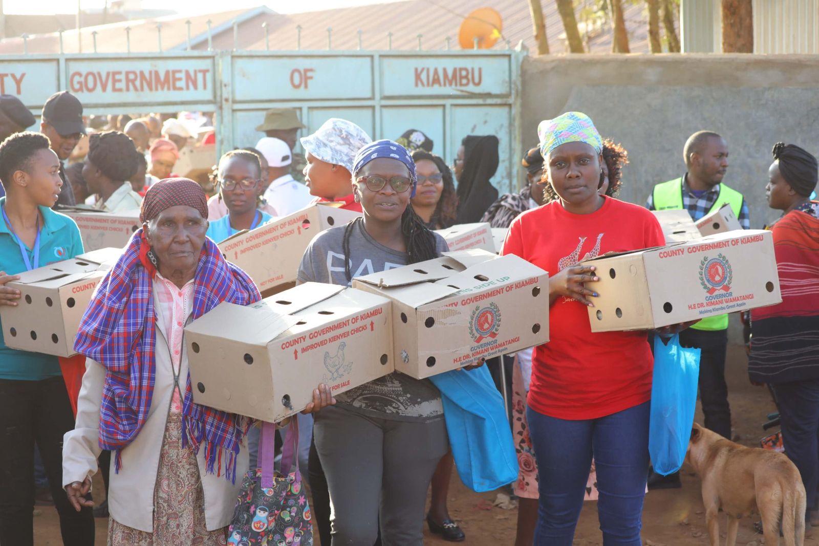 Governor Wamatangi’s ‘Kienyeji’ chicks program hatches prosperity